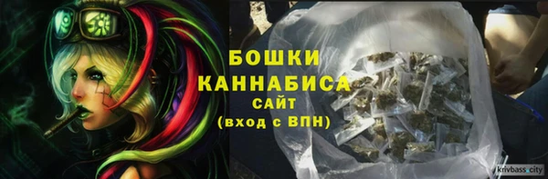 apvp Володарск