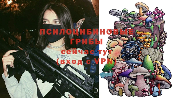ALPHA PVP Вяземский